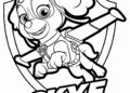 Paw Patrol Coloring Pages of Skye