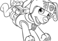 Paw Patrol Coloring Pages of Zuma