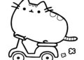 Pusheen Coloring Pages on Bike