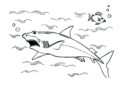 Shark Coloring Pages Images Free