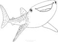Shark Coloring Pages of Whale Shark