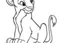 Simba Lion King Coloring Pages Images 2020