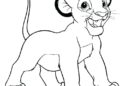 Simba Lion King Coloring Pages Pictures