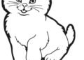 Simple Cat Coloring Pages Pictures