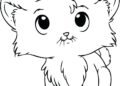 Small Cat Coloring Pages