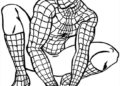 Spiderman Coloring Pages Image