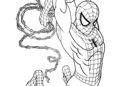 Spiderman Coloring Pages Inspiration