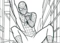 Spiderman Coloring Pages Picture