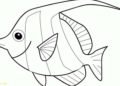 Tropical Fish Coloring Pages Printable