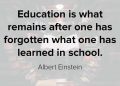 International Day of Education Quotes by Albert Einstein