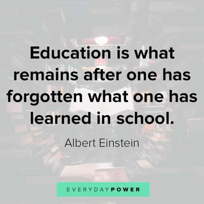 International Day Of Education Quotes By Albert Einstein 800x800 