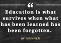 International Day of Education Quotes by BF Skinner