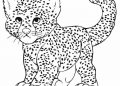 Small Cheetah Coloring Pages For Kids