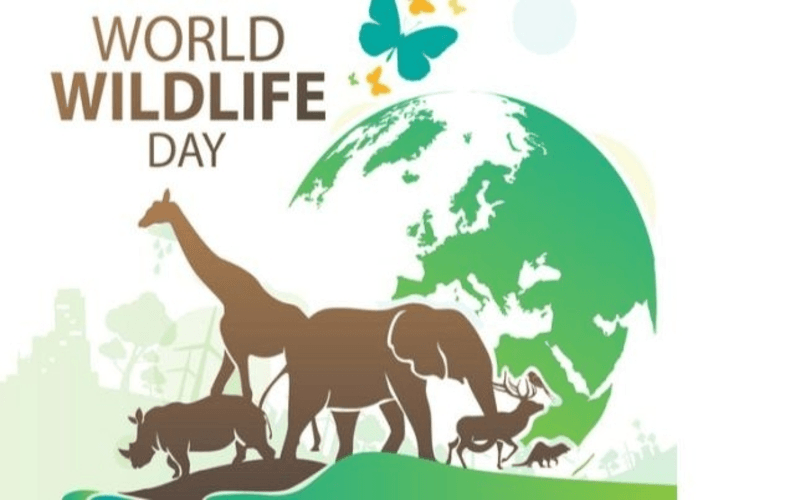 World Wildlife Day, Awareness of The Importance of Conservation of Wild