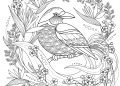 Advance Bird Coloring Page