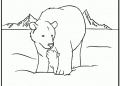 Bears Coloring Page Free Images