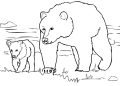 Bears Coloring Page Images