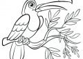 Beautiful Bird Coloring Page