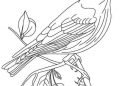 Bird Coloring Page Image