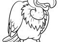 Bird Coloring Pages