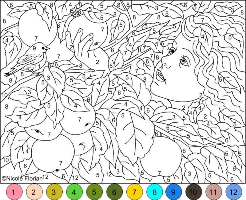 Number color adults coloring printable pages print prints online