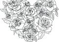 Coloring Pages of Flowers Free Image
