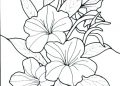 Coloring Pages of Flowers Free Images