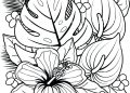 Coloring Pages of Flowers Images