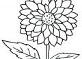 Coloring Pages of Flowers Picture