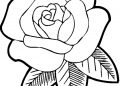 Coloring Pages of Flowers Rose