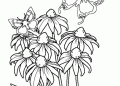 Coloring Pages of Flowers with Butterfly