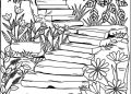 Coloring Pages of Nature Image 2020