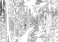 Coloring Pages of Nature of Fir Forest