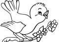 Cute Bird Coloring Page