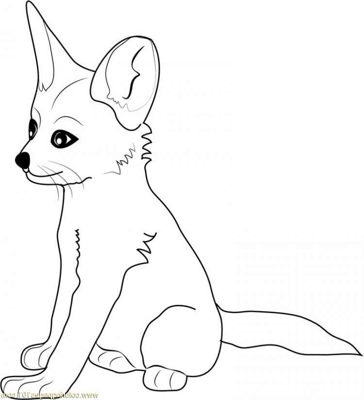 Fox Coloring Page Images - Visual Arts Ideas