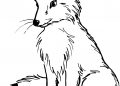 Cute Fox Coloring Page Images
