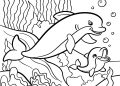 Dolphin Coloring Pages For Kid