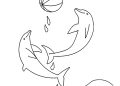 Dolphin Coloring Pages Images