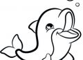 Dolphin Coloring Pages Picture