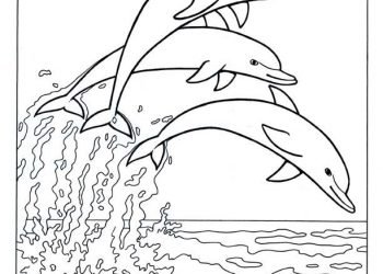 Dolphin Coloring Pages For Kids - Visual Arts Ideas