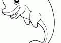 Easy Dolphin Coloring Pages Images
