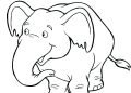 Elephant Coloring Pages Image