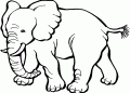 Elephant Coloring Pages Pictures