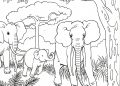 Elephant Coloring Pages in the Forest