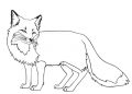 Fox Coloring Page