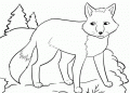 Fox Coloring Page Picture