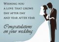 Funny Wedding Wishes Picture