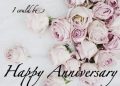 Happy Anniversary Wishes for Parents with Rose Image