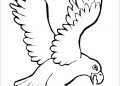 Hawk Bird Coloring Page