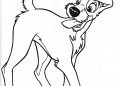 Lady and The Tramp Coloring Pages Picture